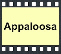 Appaloosa