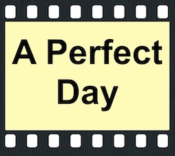 A Perfect Day