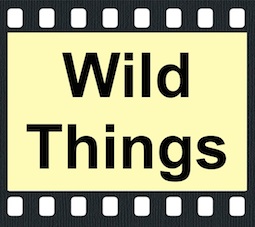 Wild Things