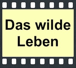 Das wilde Leben